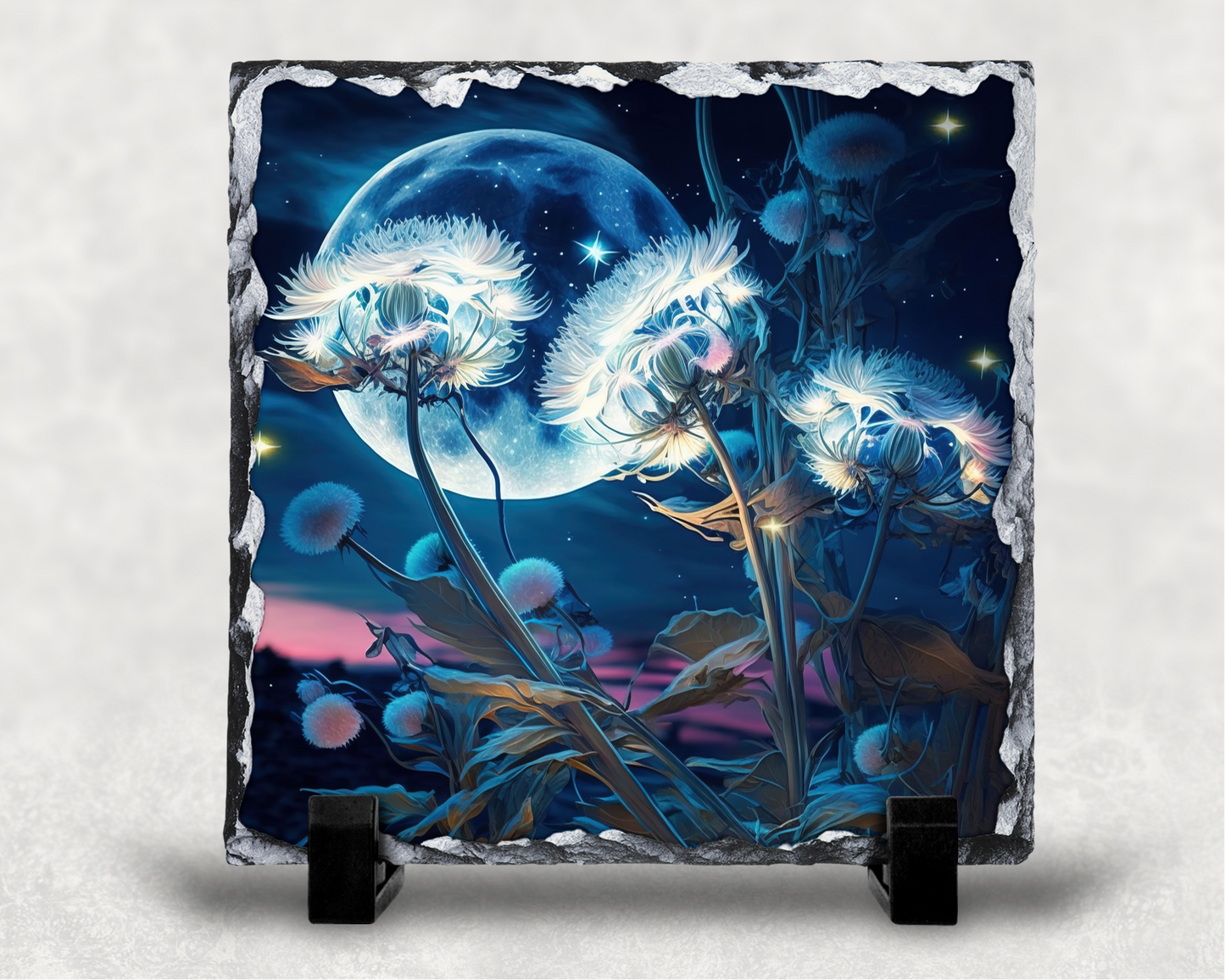 Dandelion in the moonlight slate rocks