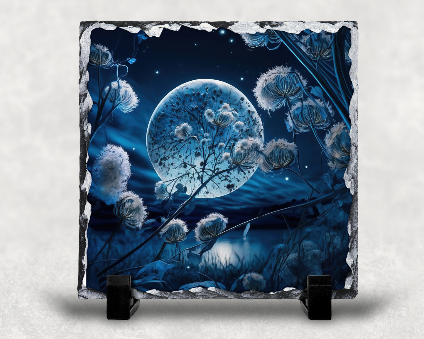 Dandelion in the moonlight slate rocks
