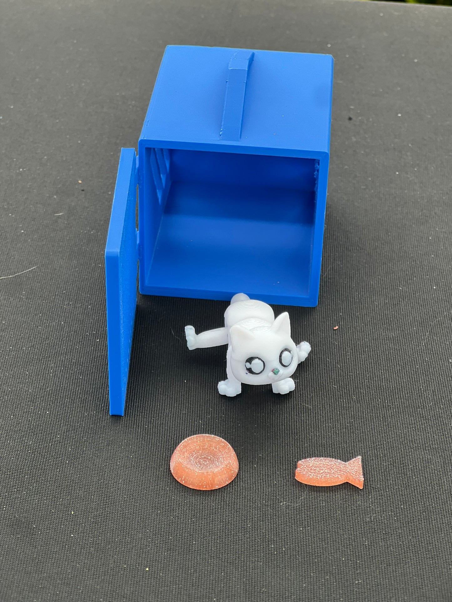 3D Printed Cat Adoption Kit for Kids – Fundraiser for DCS Feline Fixers